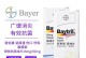 探究狗消炎药的常见品牌（了解狗消炎药的品牌选择和特点，帮助宠物选择适合的药物）