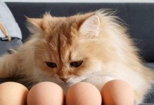 猫咪为什么不能以鸡蛋白为主食？（探究猫咪食用鸡蛋白的不良影响及原因）