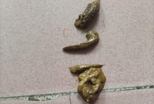 泰迪细小后期症状（掌握细小后期症状，提前预防细小疾病的加重）