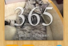 揭秘猫传腹（揭秘猫传腹的真相，拒绝被误导）