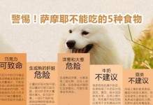萨摩犬的饮食需求与建议（萨摩犬饮食指南，让你的狗狗健康成长）