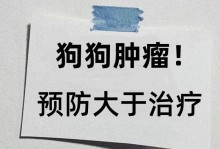 狗的蛋白质需求（了解狗狗蛋白质需求的重要性，选择合适的食物满足其营养需求。）