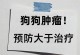 狗的蛋白质需求（了解狗狗蛋白质需求的重要性，选择合适的食物满足其营养需求。）