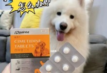 狗吐了不拉，该吃什么药？（药物治疗和注意事项）