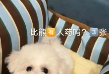 如何解决比熊独自在家时不停叫的问题（让比熊安静待在家的有效方法）