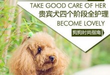 标准贵宾犬护理指南（全面了解宠物贵宾犬的生活与健康）