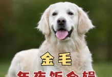 如何为两个月的金毛选择合适的饮食？（宝宝金毛的饮食需要考虑的因素及建议）