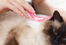 猫咪毛发护理的重要性（为你的爱宠提供最佳护理，尽在于梳毛）