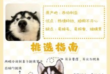 哈士奇的嚎叫之谜（探索哈士奇嚎叫的原因与意义）