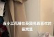 与猫相处的注意事项（和猫咪共生的幸福生活）