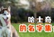 哈士奇犬的叫声和意义（探索哈士奇犬的叫声是如何传达信息的）