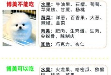俊介犬与博美（深入了解俊介犬和博美犬的特点与差异）
