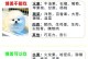 俊介犬与博美（深入了解俊介犬和博美犬的特点与差异）