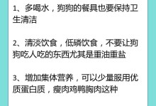 一岁狗咳嗽吃什么药？（如何安全有效地治疗一岁狗的咳嗽）