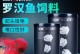 探访罗汉鱼的增色秘密（以罗汉鱼吃什么能增色？透视颜色素与饮食关系的奥秘）