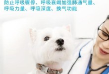 解读狗狗咳停宁药的功效与副作用（了解狗狗咳停宁的用途、注意事项及风险）