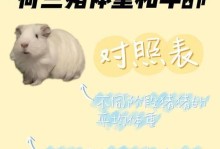 荷兰鼠的繁殖周期及生产力（荷兰鼠繁殖周期短，每年可产多个后代）