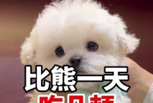 揭秘比熊一直睡的原因（探寻比熊爱睡觉的原因及其健康影响）