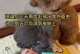 大狗生产后多久能洗澡？（洗澡是为了大狗的健康与舒适）