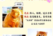不适合家养的三种猫咪及其原因（了解这三种猫咪，让你的家庭更和谐）