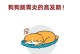 狗狗肠炎（深入了解肠炎治疗的时间和关键要点）