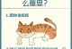 猫打呼的频率和原因（揭秘猫咪打呼的奥秘，让你更了解你的毛茸伙伴）