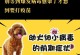 狗狗健康护理指南（狗狗保健的关键——首次疫苗接种）