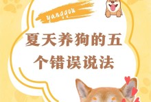 夏天养法斗的注意事项（狗狗夏季养护的小贴士）