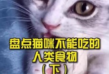 给猫咪喂食以下20种“人类食物”，对猫咪有益处！（了解这些食物，让你的猫咪吃得健康快乐）