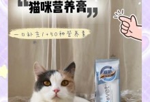 猫咪营养膏的喂养频率和方法（了解猫咪营养膏的正确喂养方式，）