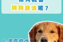 狗狗游泳后的注意事项（保护狗狗健康的小贴士）
