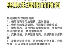 狗狗大姨妈周期及注意事项（解析狗狗月经周期、如何正确处理和照顾）