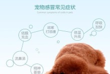 泰迪感冒了吃点什么药？（为你的泰迪选择适合的药物治疗感冒）