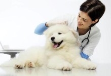 狗狗疫苗（预防犬瘟热、犬细小病毒、狂犬病等常见疾病）