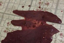狗狗快速死亡的原因及预防措施（探寻导致狗狗迅速死亡的因素，并采取相应措施保护它们的生命安全）