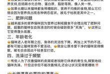 养猫的五大好处（解压、陪伴、治愈、爱心、健康）
