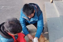 狗狗疫苗全面解析——打四联一与狂犬疫苗一起更佳（保护宠物健康，预防疾病，让爱不留遗憾）