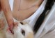 猫咪磨牙期（猫咪磨牙期是什么时候？）