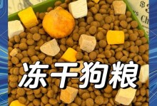 金毛三个月吃什么好（科学喂养金毛宝宝，让它健康成长）