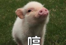 狗狗的哼哼语言意味着什么？（探索狗狗哼哼语言的奥秘）