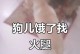 狗狗肚子饿了，你知道吗？（如何通过观察狗狗行为看出它饿了）
