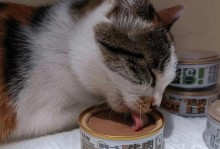 小猫吃了冷罐头，会不会拉肚子？（了解宠物饮食健康，预防消化问题）