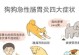 博美肠胃炎能撑多久？（了解博美肠胃炎的持续时间和管理方法）