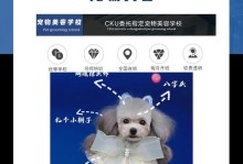 宠物美容师证书的重要性与发展（培养专业宠物美容师的关键步骤）