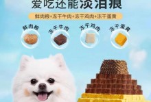 成年泰迪的合理狗粮摄入量与注意事项（了解成年泰迪的饮食需求，让它健康快乐）