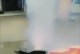 狗之间为何会发生致命咬斗？（探究狗咬死狗的原因及预防方法）