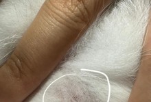 猫身上的寄生虫有哪些？（揭秘猫身上的寄生虫，保护宠物健康！）