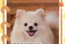 如何判断狗狗是否怀孕？（从受孕到显示初期的重要指标一览）