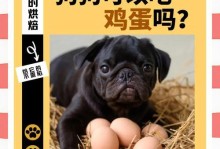 酸奶（狗狗可以喝酸奶吗？喂养狗狗酸奶需要注意什么？）