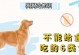金毛牙齿出血的原因与治疗方法（了解金毛牙齿出血的病因及有效措施，让宠物恢复健康）